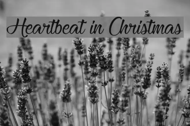 Heartbeat in Christmas Font examples