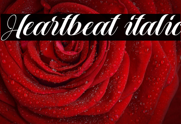 Heartbeat italic Example 1