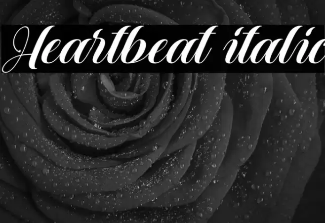 Heartbeat italic Font examples