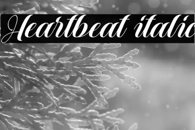 Heartbeat italic Font examples