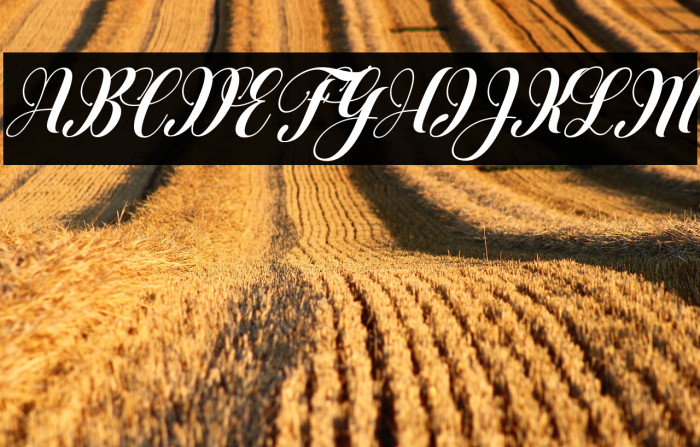 Heartbeatitalic Example 1