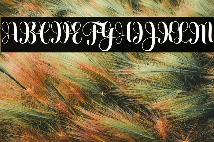 Heartbeatregular Example 2