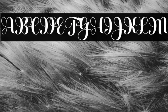 Heartbeatregular Font examples