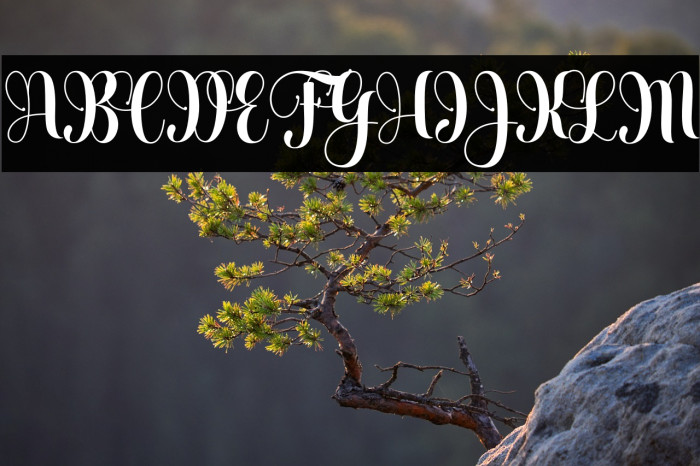 Heartbeatregular Example 3