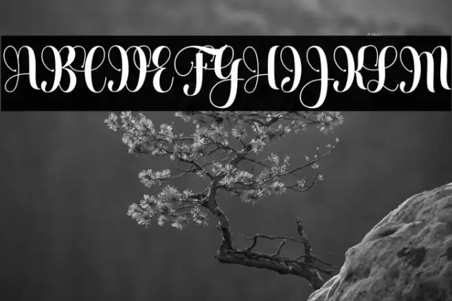 Heartbeatregular Font examples