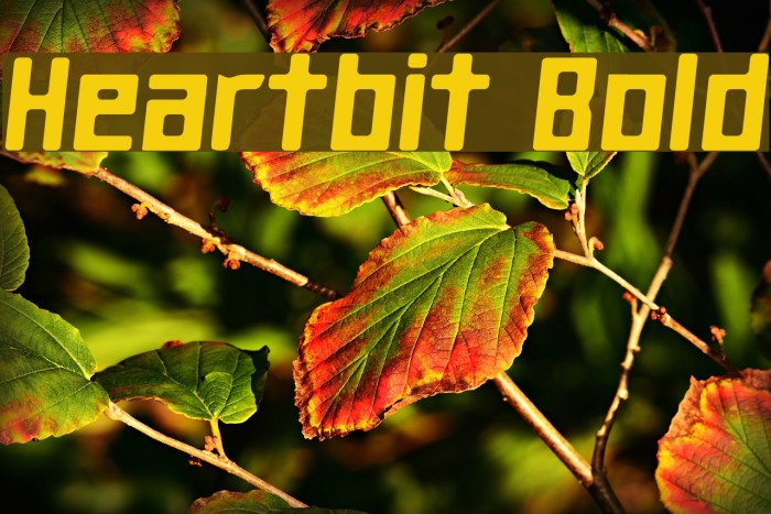 Heartbit Bold Caratteri examples