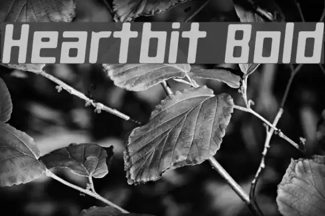 Heartbit Bold Font examples
