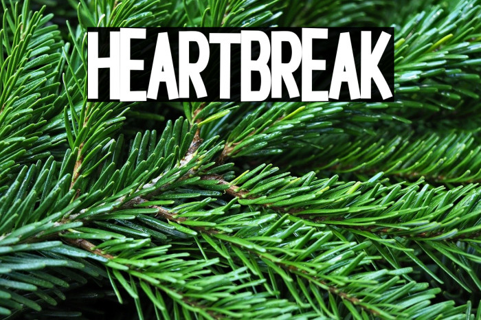 Heartbreak Example 1