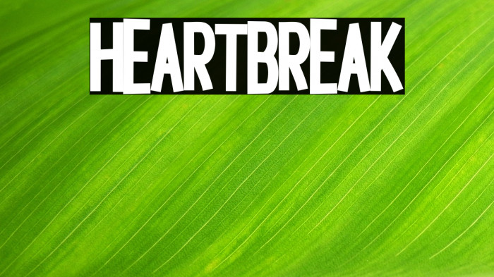 Heartbreak Example 2