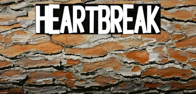 Heartbreak Example 3