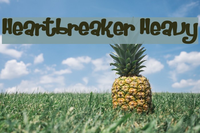 Heartbreaker Heavy Font examples