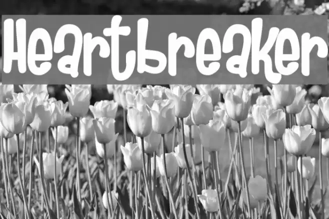 Heartbreaker Polices examples