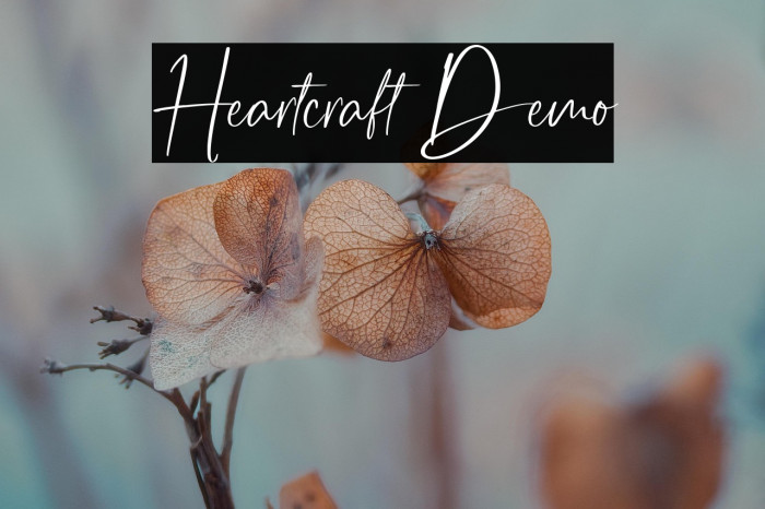 Heartcraft Demo Example 1