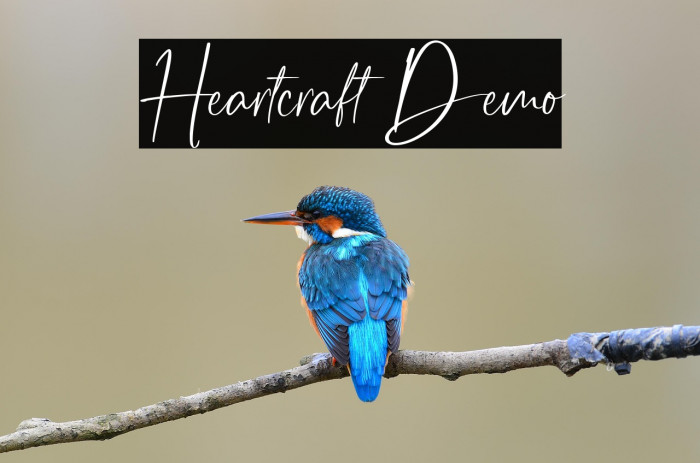 Heartcraft Demo Example 2