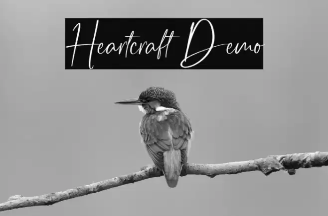Heartcraft Demo Font examples