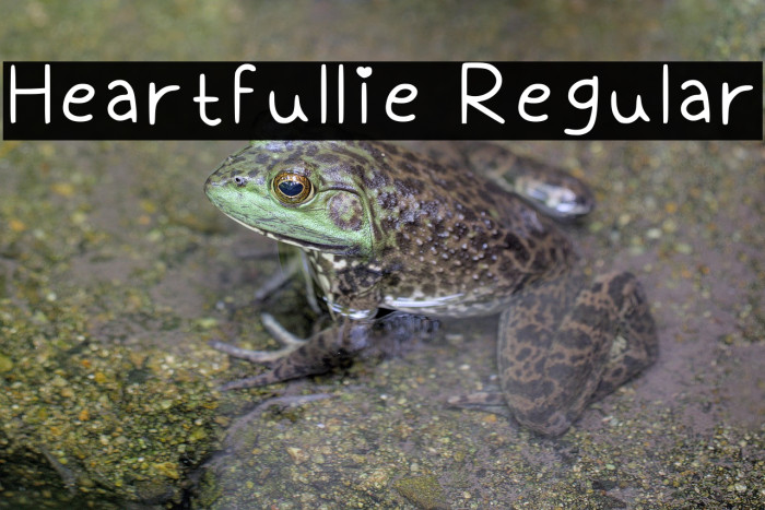 Heartfullie Regular Example 1