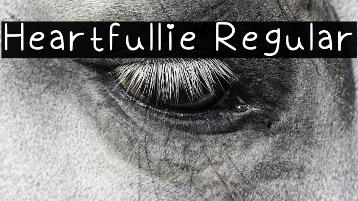 Heartfullie Regular Example 2