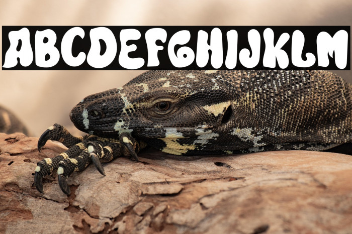 Hearth Stalking Example 3