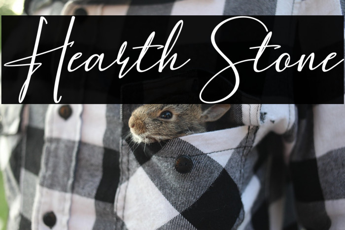 Hearth Stone Example 1