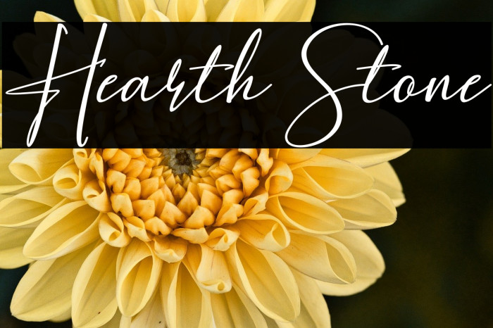 Hearth Stone Example 3