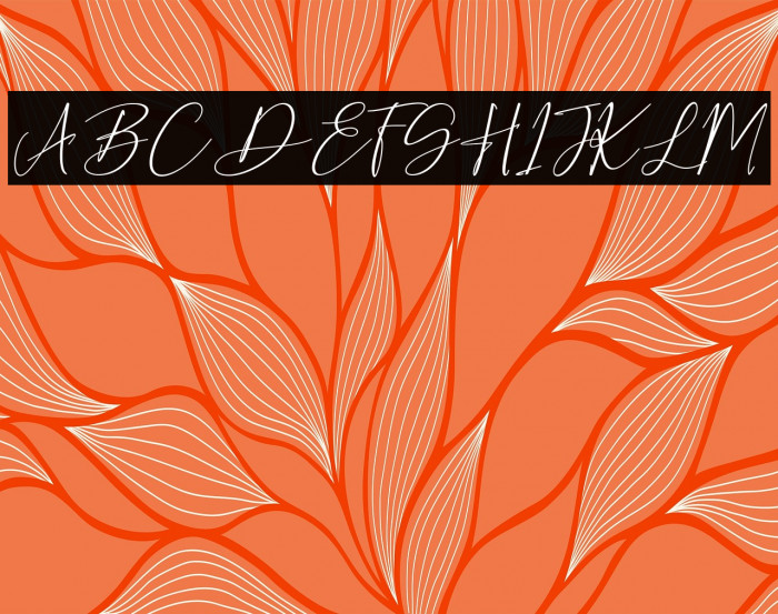 HearthStone Example 1