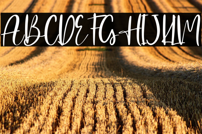 Hearthbright - Personal Use Example 2