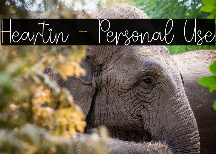 Heartin - Personal Use Example 2