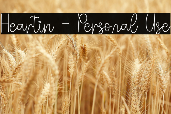 Heartin - Personal Use Example 3