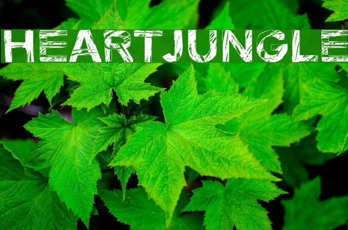 Heartjungle Example 2