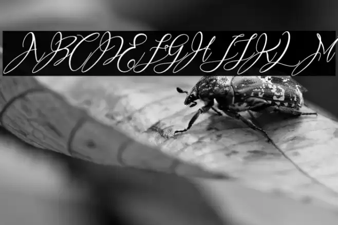 Heartkything Font examples