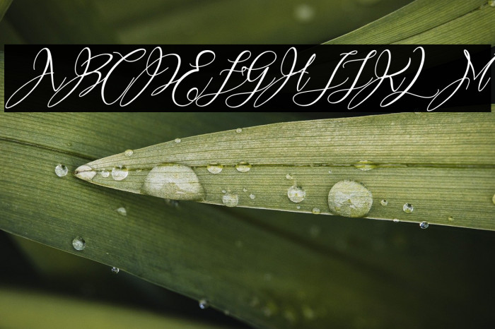 Heartkything Example 3