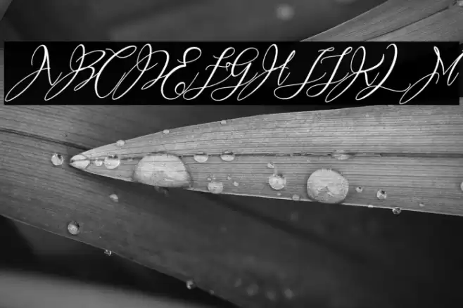 Heartkything Font examples