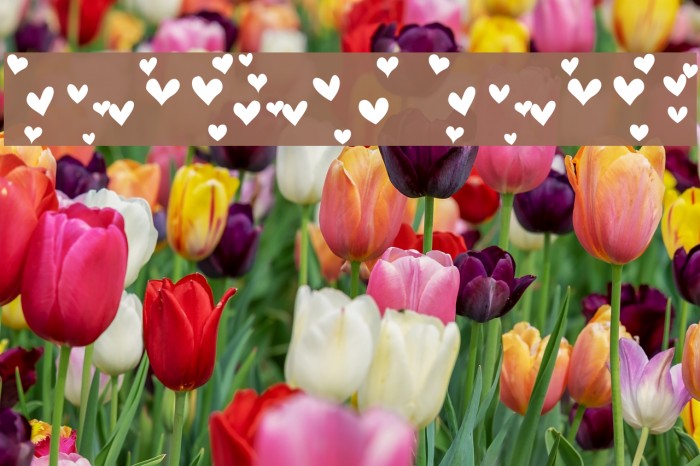Heartland Hearts Font examples