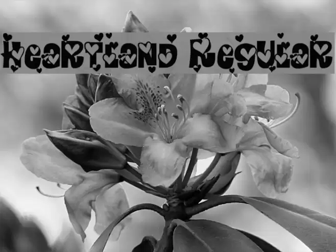 Heartland Regular Font examples