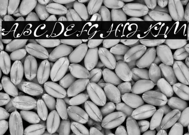 Heartland Font examples