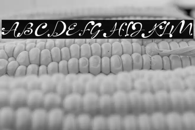 Heartland Font examples