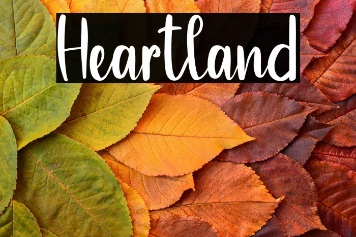 Heartland Example 1