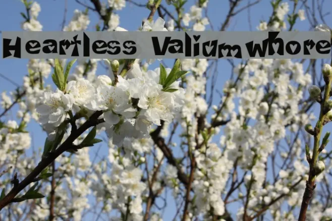 Heartless Valiumwhore Example 3