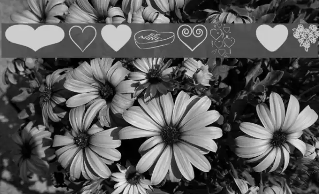 Hearts BV Font examples