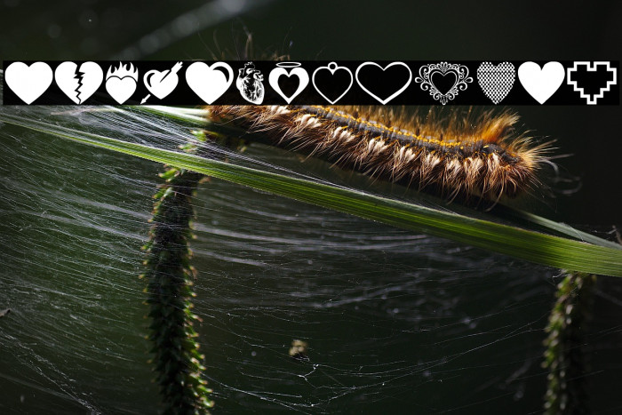 Hearts Salad Example 3