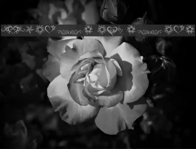 Hearts and Stars Font examples