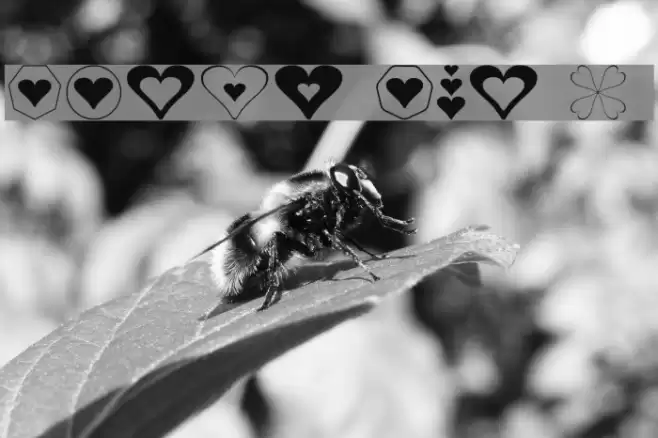 Hearts for 3D FX Font examples