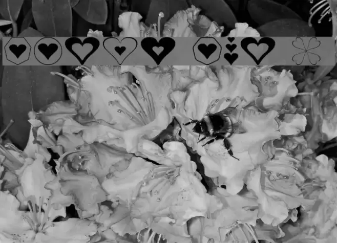 Hearts for 3D FX Font examples