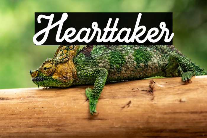 Hearttaker Example 1