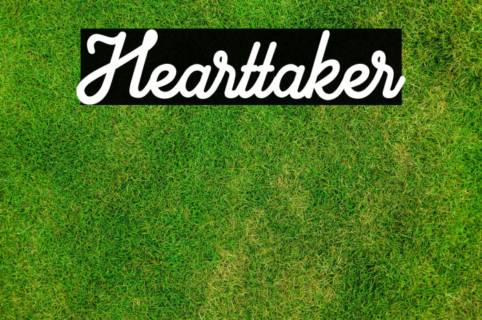 Hearttaker Example 2