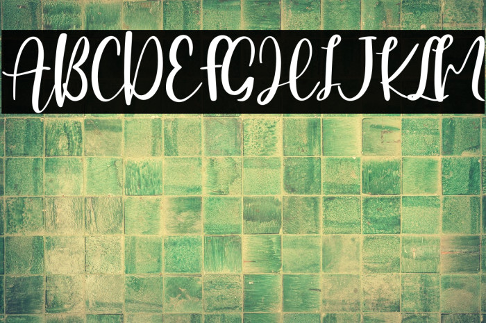 Hearttiger - Personal Use Example 1