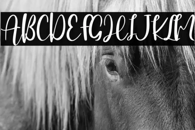 Hearttiger - Personal Use Font examples