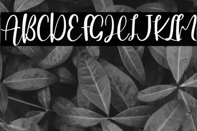 Hearttiger - Personal Use Font examples