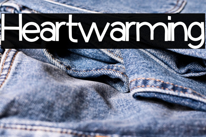 Heartwarming Example 2
