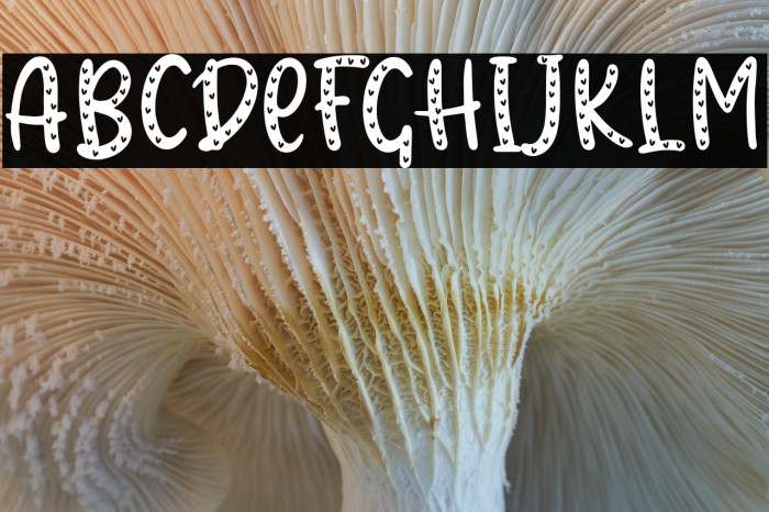 Hearty Chintya Display Personal Use Example 1